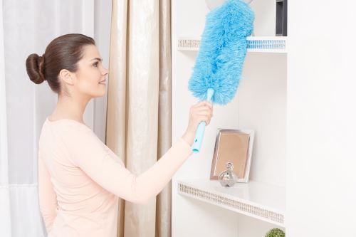 Apartment Cleaning in Mead, Colorado